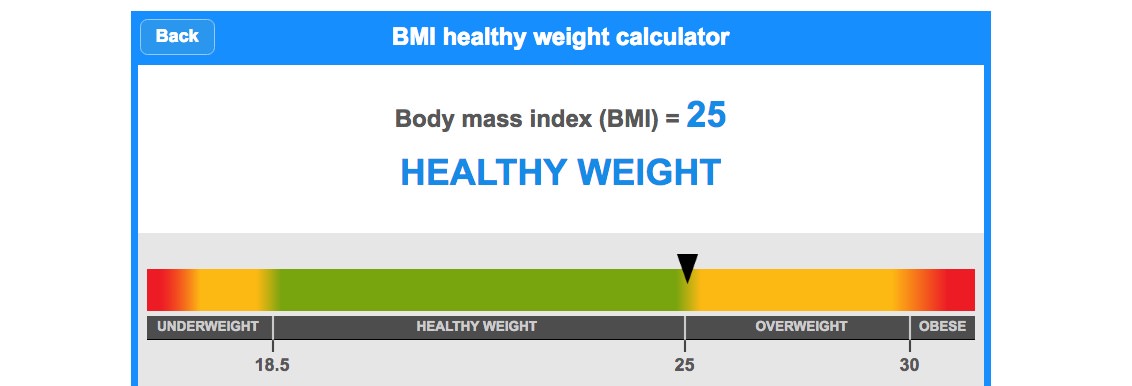 BMI - Reaching a healthy BMI with Slimming World