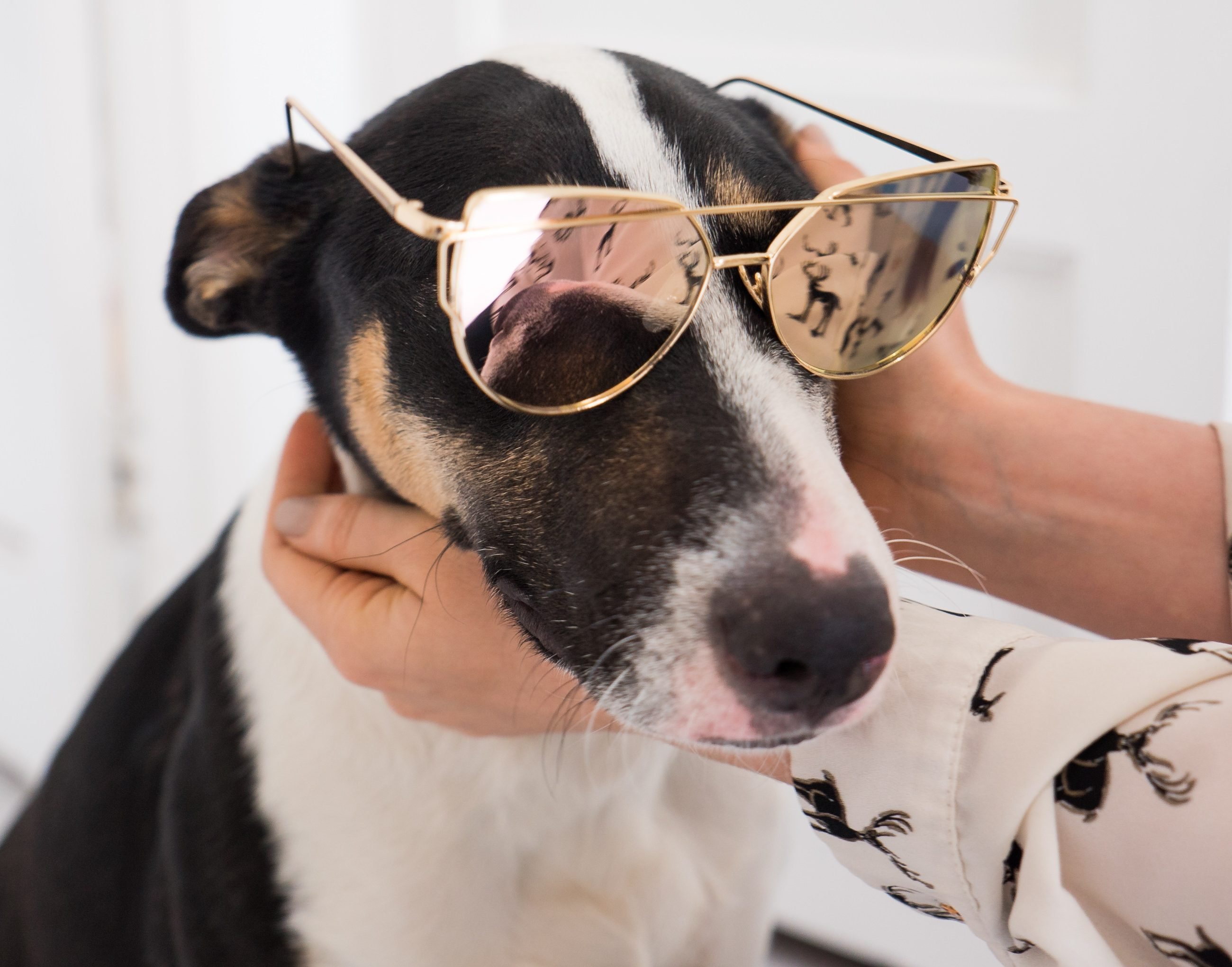Rose Gold Mirrored Sunglasses