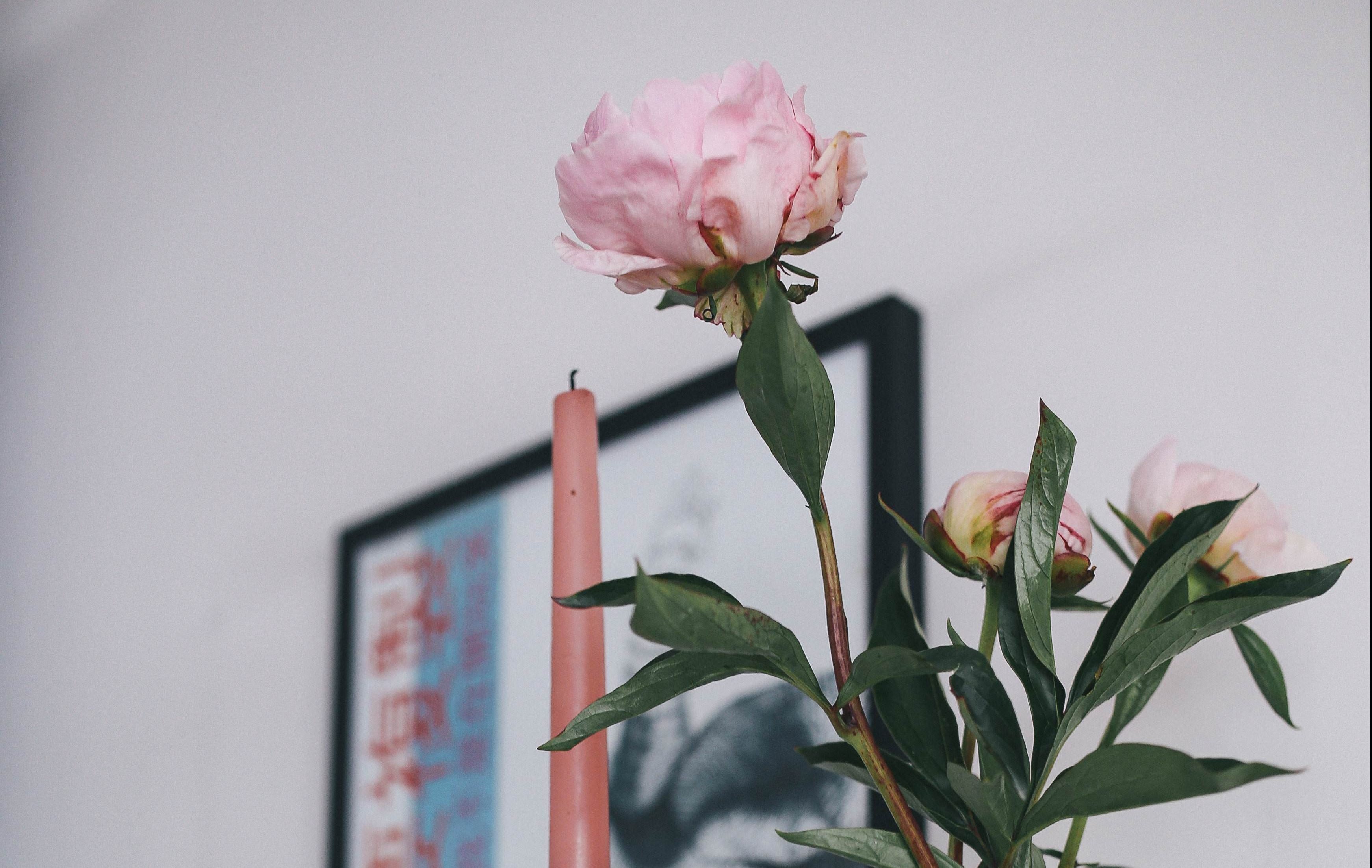 How to Make Your Uni Room Feel Like Home