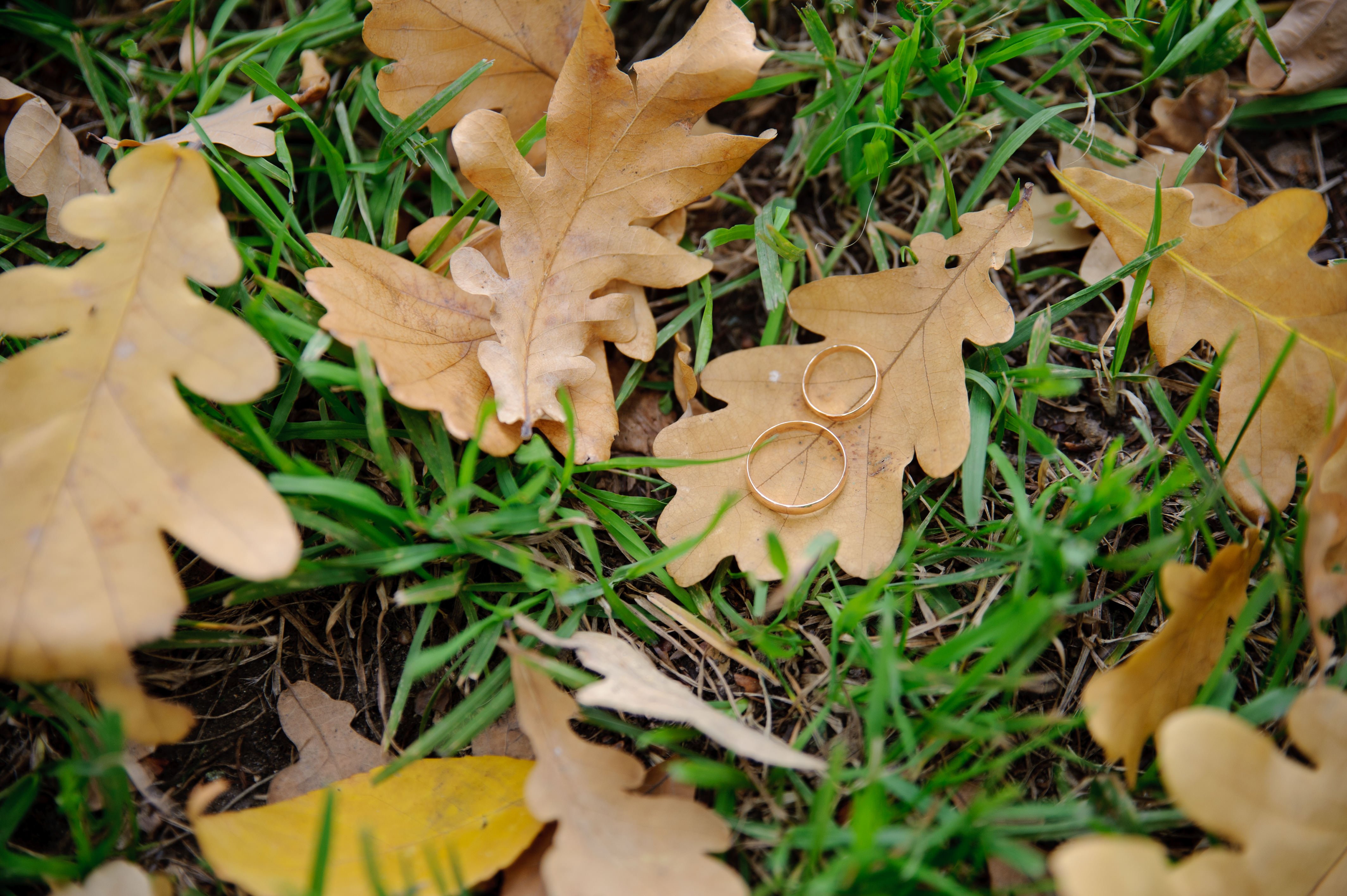 Mud and Rain: An Emergency Guide to Autumn Weddings 1