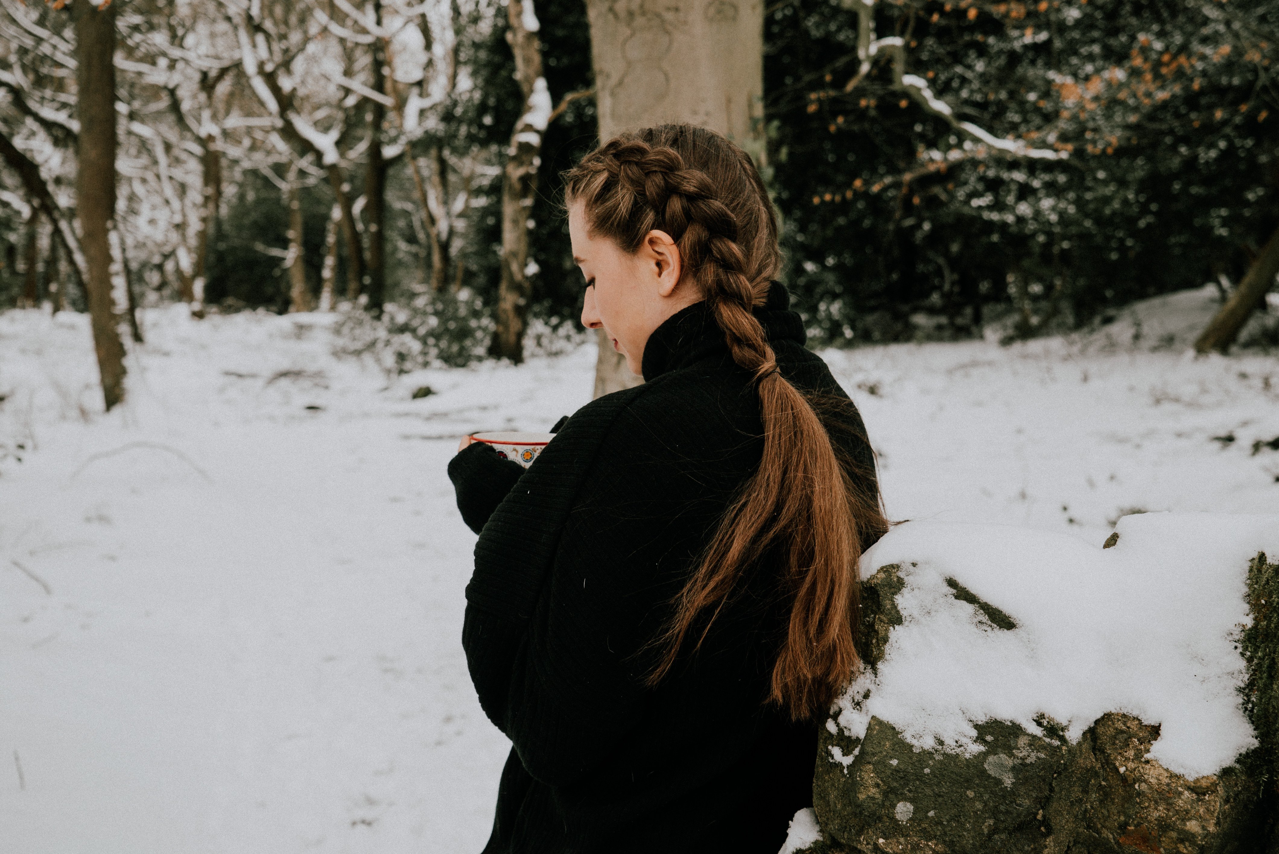 Dutch braids