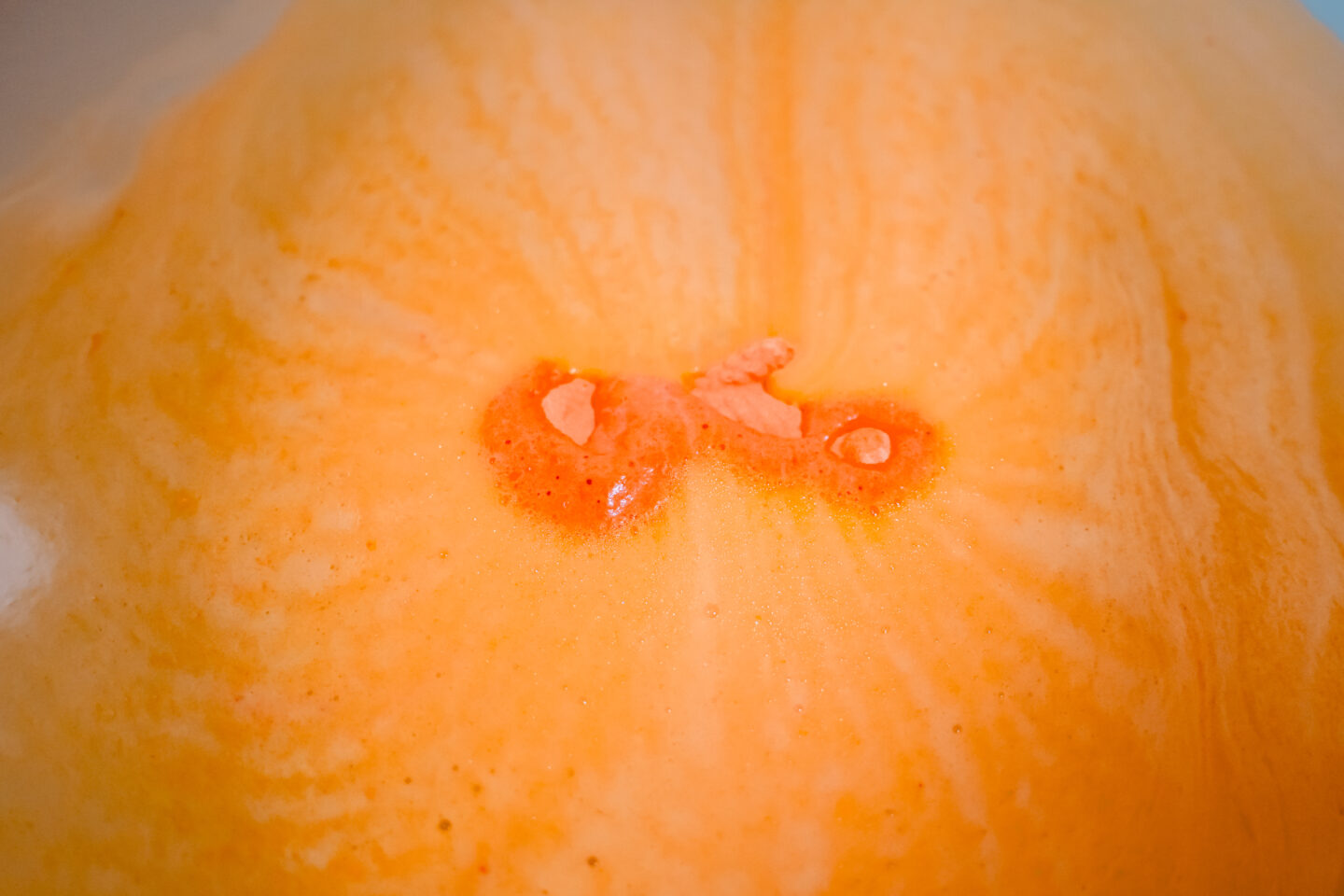 Lush Fresh & Flowers